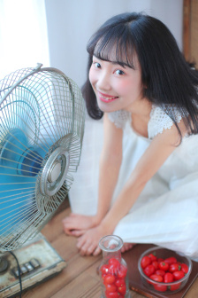佛兰德斯的狗